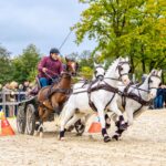 Geslaagde eerste editie Veluwe Fair