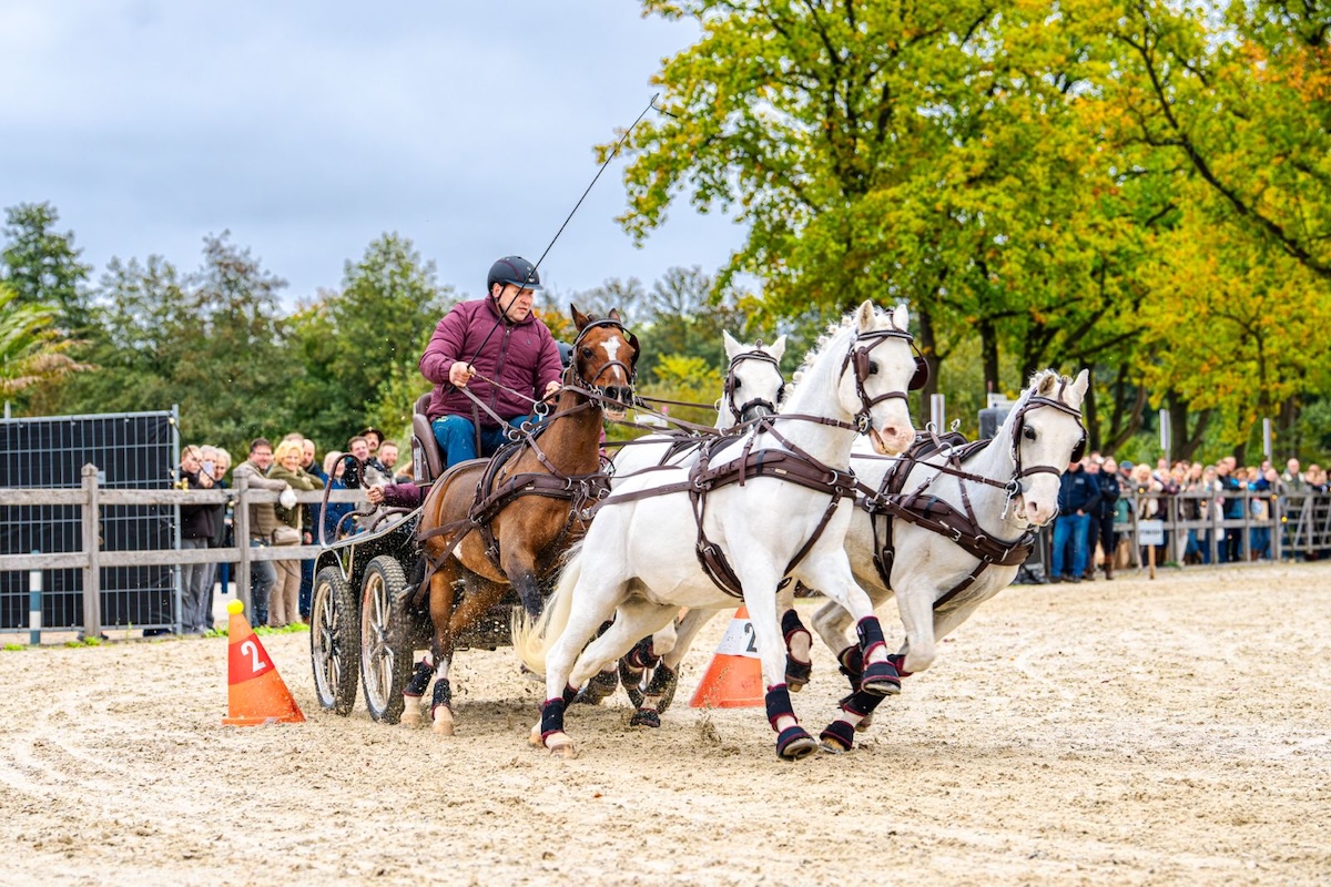 Geslaagde eerste editie Veluwe Fair